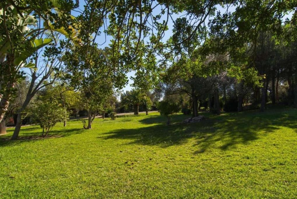 Villa Son Simo D'alt